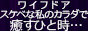 ワイフドア